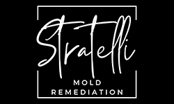 Stratelli Mold Remediation - Mold Services